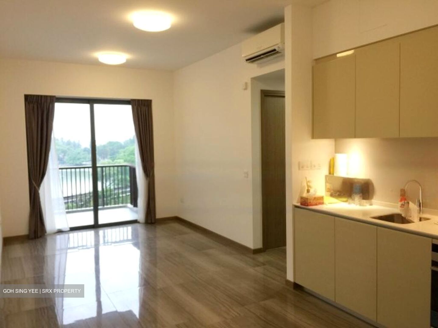 Lakeville (D22), Condominium #461496621